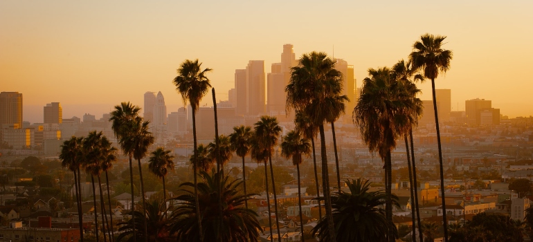 picture of palm trees of Los Angeles where Los Angeles to Vancouver WA movers work