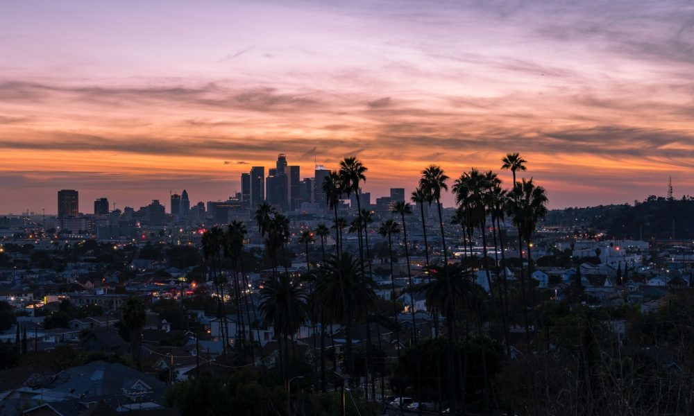 Taking in the LA view before moving