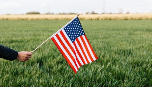 An American flag in a field