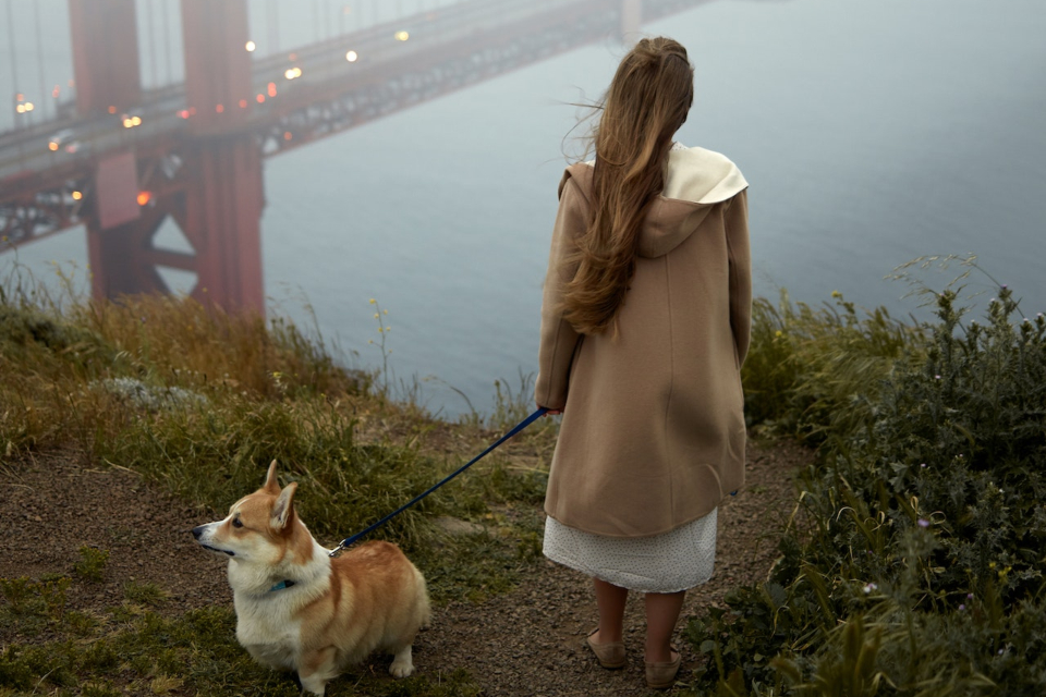 the girl who is living in San Francisco with a dog